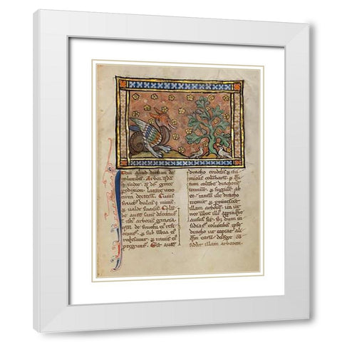 A Dragon Charging Two Doves White Modern Wood Framed Art Print with Double Matting by Franco-Flemish 13th Century