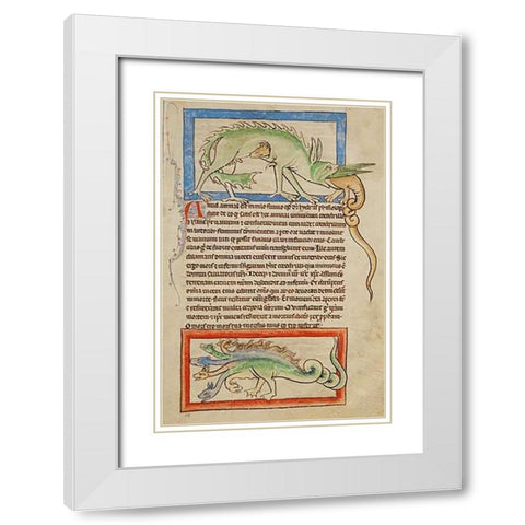 A Hydrus; A Hydra White Modern Wood Framed Art Print with Double Matting by English 13th Century
