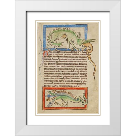 A Hydrus; A Hydra White Modern Wood Framed Art Print with Double Matting by English 13th Century