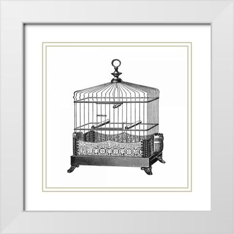 Etchings: Birdcage - Filigree base. White Modern Wood Framed Art Print with Double Matting by Catalog Illustration