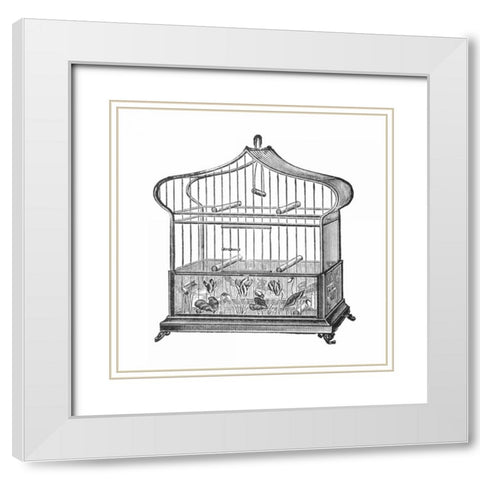 Etchings: Birdcage - Onion-peak top, floral base. White Modern Wood Framed Art Print with Double Matting by Catalog Illustration