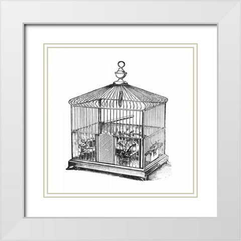 Etchings: Birdcage - Onion peak top, floral base. White Modern Wood Framed Art Print with Double Matting by Catalog Illustration