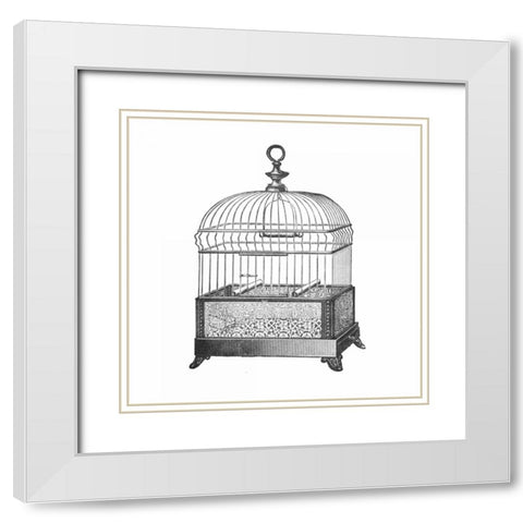 Etchings: Birdcage - Gable top, filigree base. White Modern Wood Framed Art Print with Double Matting by Catalog Illustration