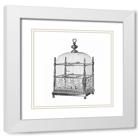 Etchings: Birdcage - Dome top, spindle corners, vine detail base. White Modern Wood Framed Art Print with Double Matting by Catalog Illustration