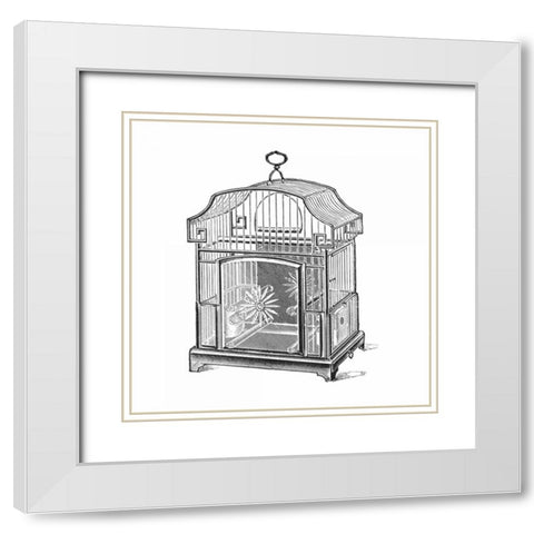 Etchings: Birdcage - Gable top, daisy base. White Modern Wood Framed Art Print with Double Matting by Catalog Illustration