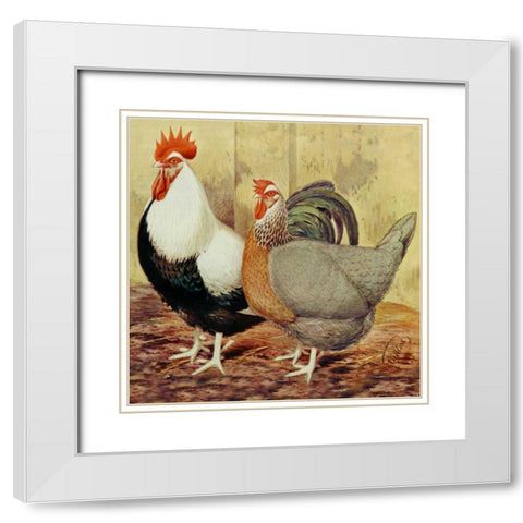 Chickens: Silver-Grey Dorkings White Modern Wood Framed Art Print with Double Matting by Wright, Lewis