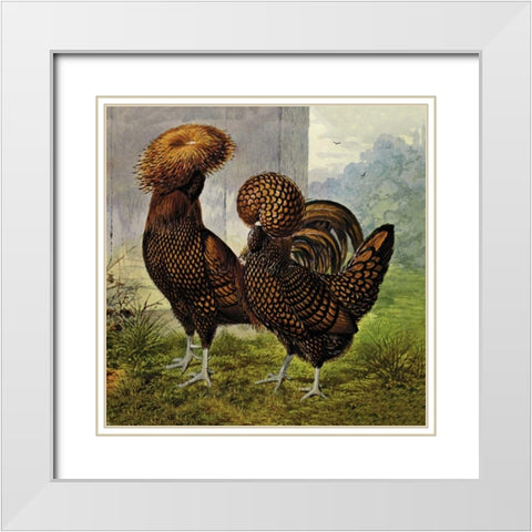 Chickens: Gold Spangled Polish White Modern Wood Framed Art Print with Double Matting by Wright, Lewis