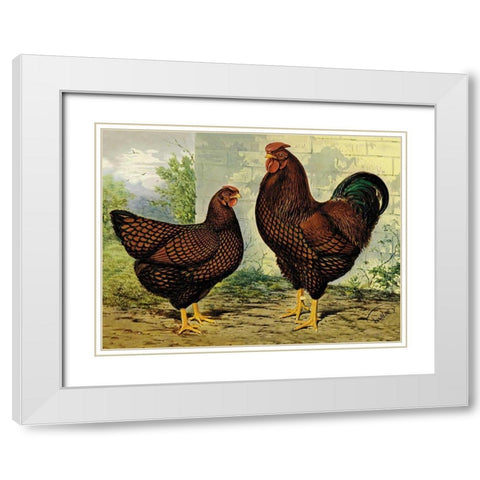 Chickens: Golden Wyandottes White Modern Wood Framed Art Print with Double Matting by Wright, Lewis