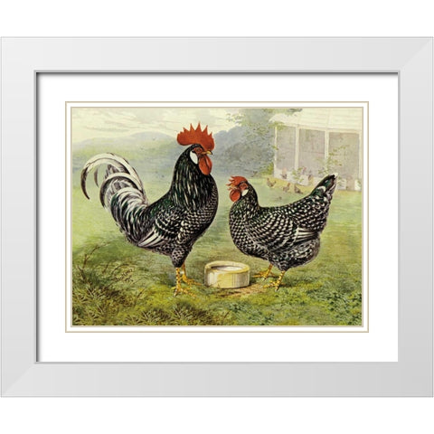 Chickens: Anconas White Modern Wood Framed Art Print with Double Matting by Wright, Lewis