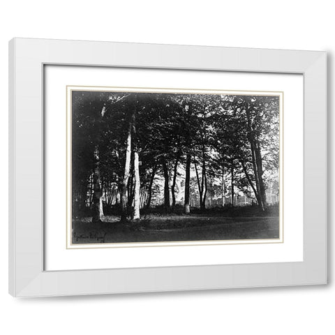 Fontainebleau, 1849 - Study of Trees and Pathways White Modern Wood Framed Art Print with Double Matting by Le Gray, Gustave