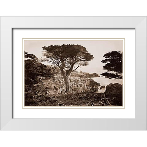 Cypress Point, Monterey, California, about 1880s White Modern Wood Framed Art Print with Double Matting by Watkins, Carleton