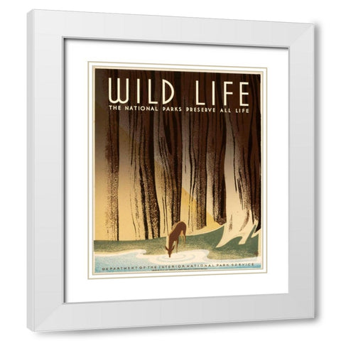 Wild Life; The National Parks Preserve All Life, ca. 1936-1940 White Modern Wood Framed Art Print with Double Matting by Nicholson, Frank S.