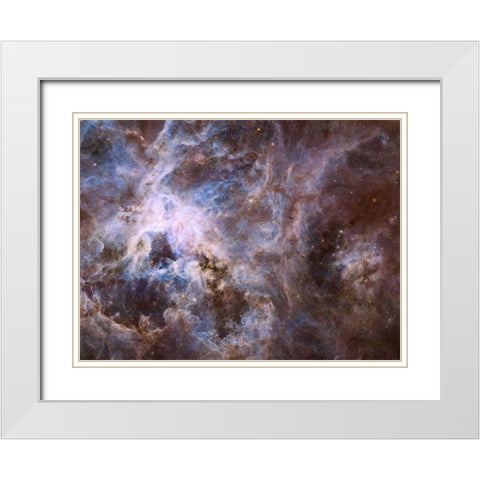 Wide Field 30 Doradus UVIS White Modern Wood Framed Art Print with Double Matting by NASA