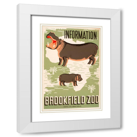 Information - Brookfield Zoo - Hippos White Modern Wood Framed Art Print with Double Matting by Waltrip, Mildred