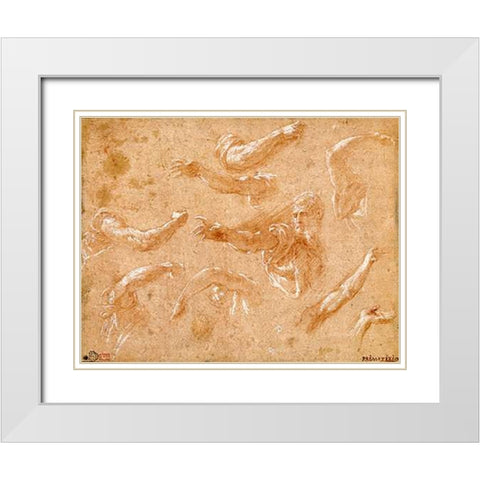 Study of God the Father with Angels White Modern Wood Framed Art Print with Double Matting by Primaticcio, Francesco