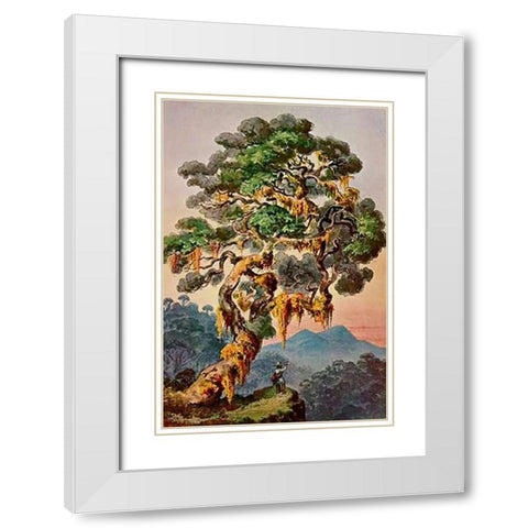 Der Vulkan Merapi auf Sumatra Hochland von Padang White Modern Wood Framed Art Print with Double Matting by Haeckel, Ernst