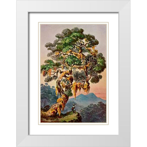 Der Vulkan Merapi auf Sumatra Hochland von Padang White Modern Wood Framed Art Print with Double Matting by Haeckel, Ernst