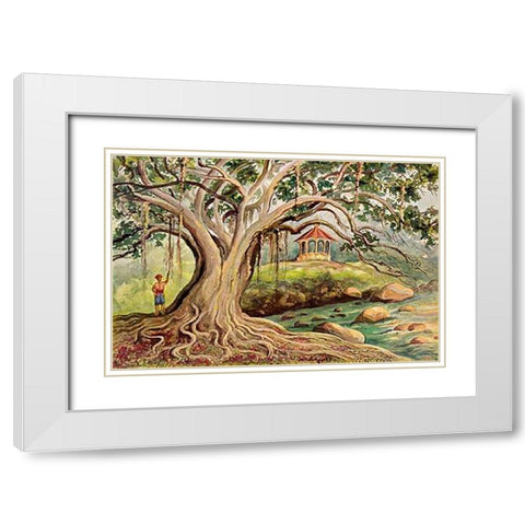 Gummibaum auf Java Ficus elastica in Buitenzorg White Modern Wood Framed Art Print with Double Matting by Haeckel, Ernst