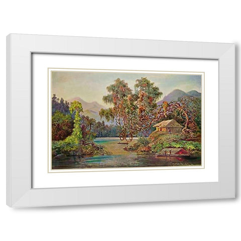 Aralien mit Lianen am Schwarzen Flusse (Ceylon) White Modern Wood Framed Art Print with Double Matting by Haeckel, Ernst