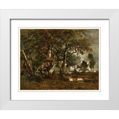 Forest of Fontainebleau, Cluster of Tall Trees Overlooking the Plain of Clair-Bois at the Edge of Ba White Modern Wood Framed Art Print with Double Matting by Rousseau, Theodore