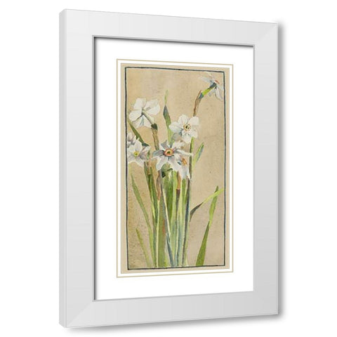 White Narcissus with Gray Accents White Modern Wood Framed Art Print with Double Matting by Overbeck, Hannah Borger