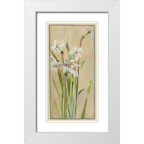 White Narcissus with Gray Accents White Modern Wood Framed Art Print with Double Matting by Overbeck, Hannah Borger