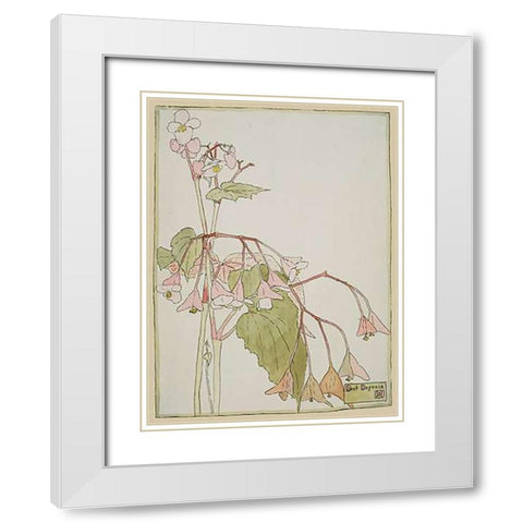 Beef Begonia White Modern Wood Framed Art Print with Double Matting by Overbeck, Hannah Borger