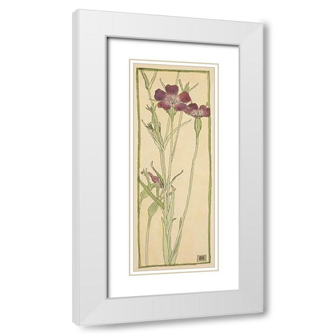 Corn Cockle White Modern Wood Framed Art Print with Double Matting by Overbeck, Hannah Borger