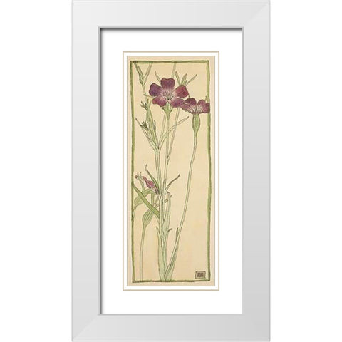 Corn Cockle White Modern Wood Framed Art Print with Double Matting by Overbeck, Hannah Borger