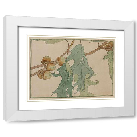 Oak/Acorns White Modern Wood Framed Art Print with Double Matting by Overbeck, Hannah Borger