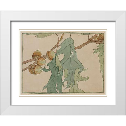 Oak/Acorns White Modern Wood Framed Art Print with Double Matting by Overbeck, Hannah Borger