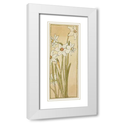 Poets Narcissus White Modern Wood Framed Art Print with Double Matting by Overbeck, Hannah Borger