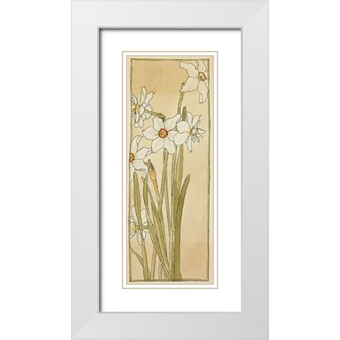 Poets Narcissus White Modern Wood Framed Art Print with Double Matting by Overbeck, Hannah Borger