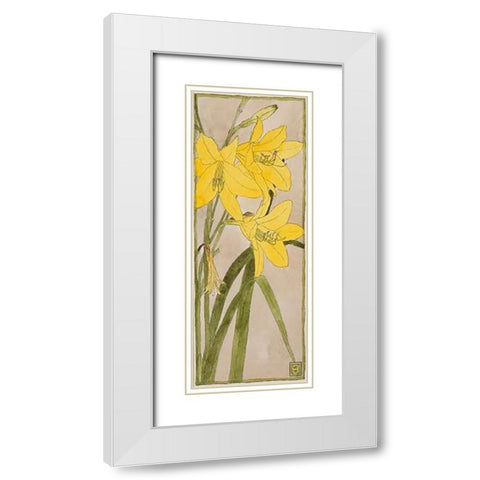 Yellow Daylily White Modern Wood Framed Art Print with Double Matting by Overbeck, Hannah Borger