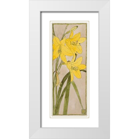 Yellow Daylily White Modern Wood Framed Art Print with Double Matting by Overbeck, Hannah Borger