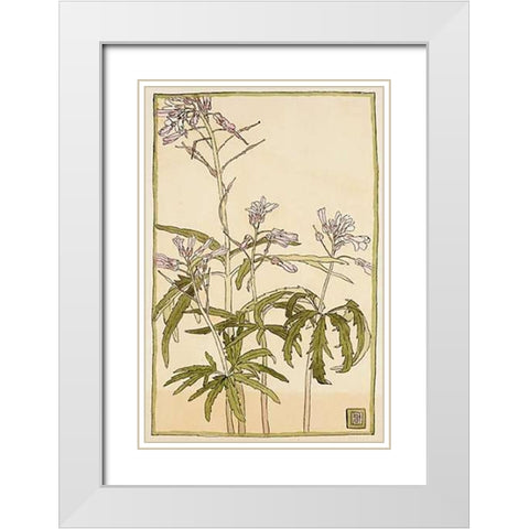 Pink Flowers with Spiky Green Leaves White Modern Wood Framed Art Print with Double Matting by Overbeck, Hannah Borger