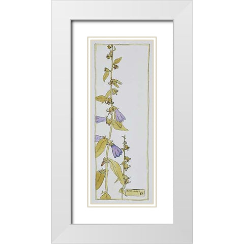 Bell Flower White Modern Wood Framed Art Print with Double Matting by Overbeck, Hannah Borger