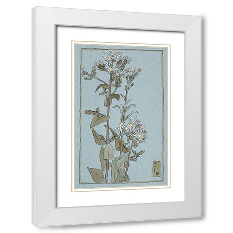 Aster on Green Ground White Modern Wood Framed Art Print with Double Matting by Overbeck, Hannah Borger