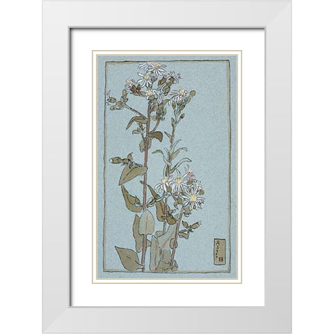 Aster on Green Ground White Modern Wood Framed Art Print with Double Matting by Overbeck, Hannah Borger