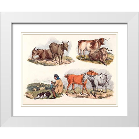 Knitting Shepherd, 1817 White Modern Wood Framed Art Print with Double Matting by Alken, Henry Thomas