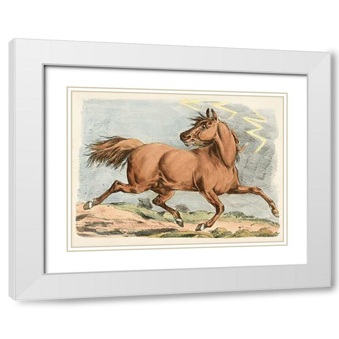 Brown Horse Running, 1817 White Modern Wood Framed Art Print with Double Matting by Alken, Henry Thomas