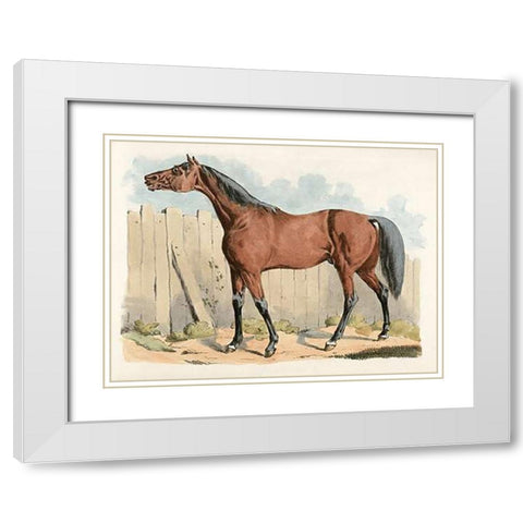Dark-Brown Horse, 1817 White Modern Wood Framed Art Print with Double Matting by Alken, Henry Thomas