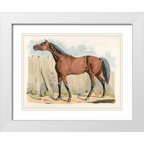 Dark-Brown Horse, 1817 White Modern Wood Framed Art Print with Double Matting by Alken, Henry Thomas