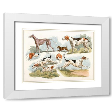 Hunting Dogs, 1817 White Modern Wood Framed Art Print with Double Matting by Alken, Henry Thomas