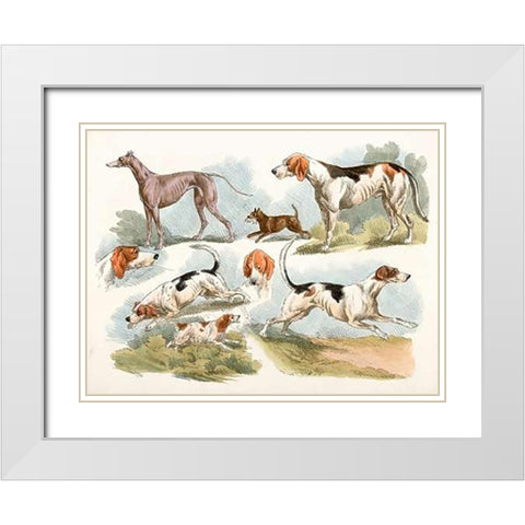 Hunting Dogs, 1817 White Modern Wood Framed Art Print with Double Matting by Alken, Henry Thomas