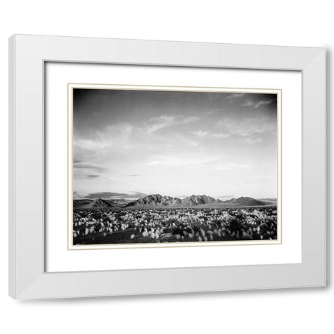 Distant mountains: desert and shrubs in foreground near Death Valley National Monument, California - White Modern Wood Framed Art Print with Double Matting by Adams, Ansel
