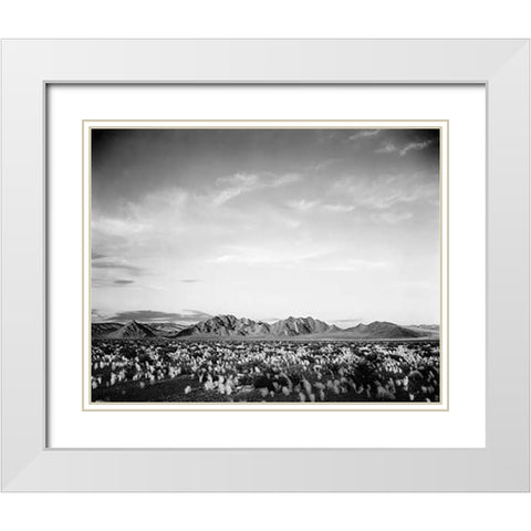 Distant mountains: desert and shrubs in foreground near Death Valley National Monument, California - White Modern Wood Framed Art Print with Double Matting by Adams, Ansel