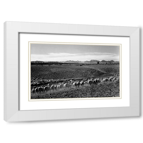 Flock in Owens Valley, California, 1941 White Modern Wood Framed Art Print with Double Matting by Adams, Ansel