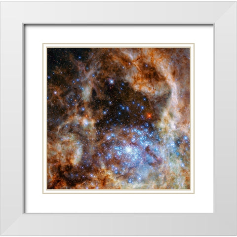 Star Cluster R136 White Modern Wood Framed Art Print with Double Matting by NASA