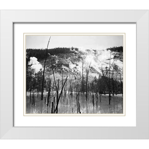 Barren trunks in water near steam rising from mountains, Roaring Mountain, Yellowstone National Park White Modern Wood Framed Art Print with Double Matting by Adams, Ansel